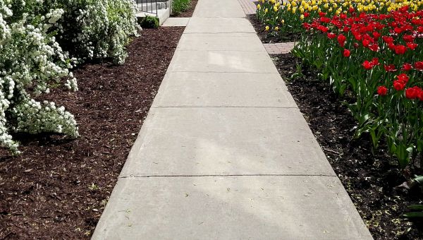 Sidewalk Slab Replacement in Alexandria