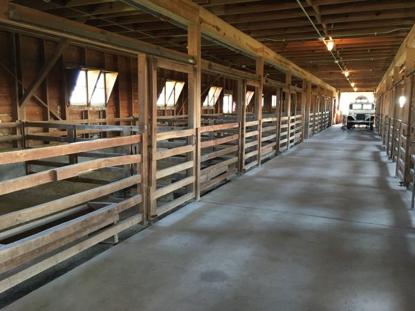 Barn Slab Construction in Alexandria
