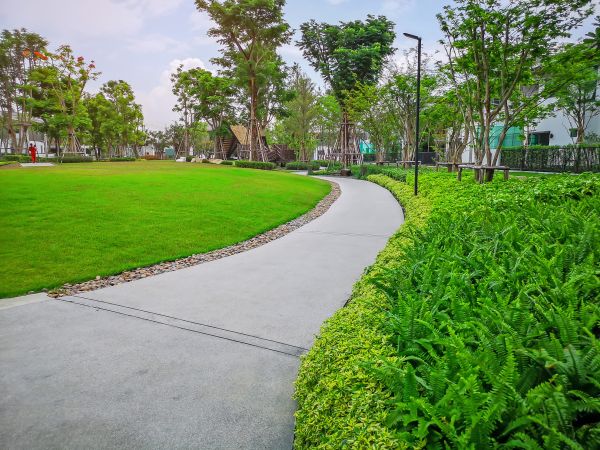 Cement Walkway Service in Alexandria