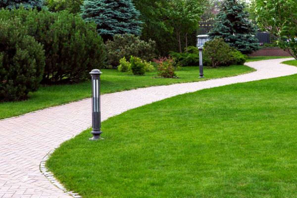Backyard Sidewalk Installation in Alexandria