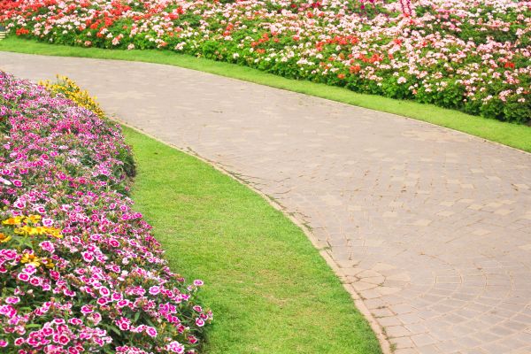 Concrete Walkway Service in Alexandria