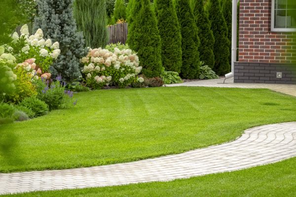 Landscape Walkway Installation in Alexandria