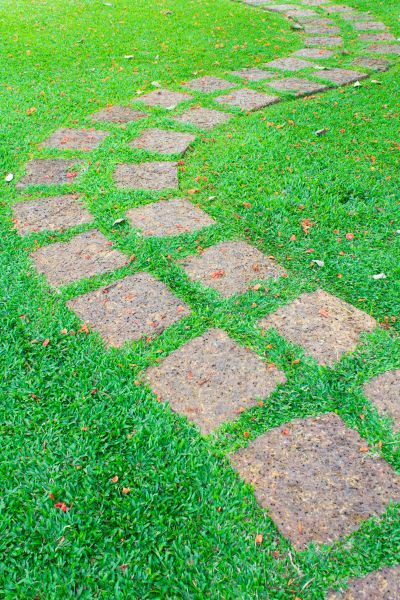 Backyard Pathway Construction in Alexandria
